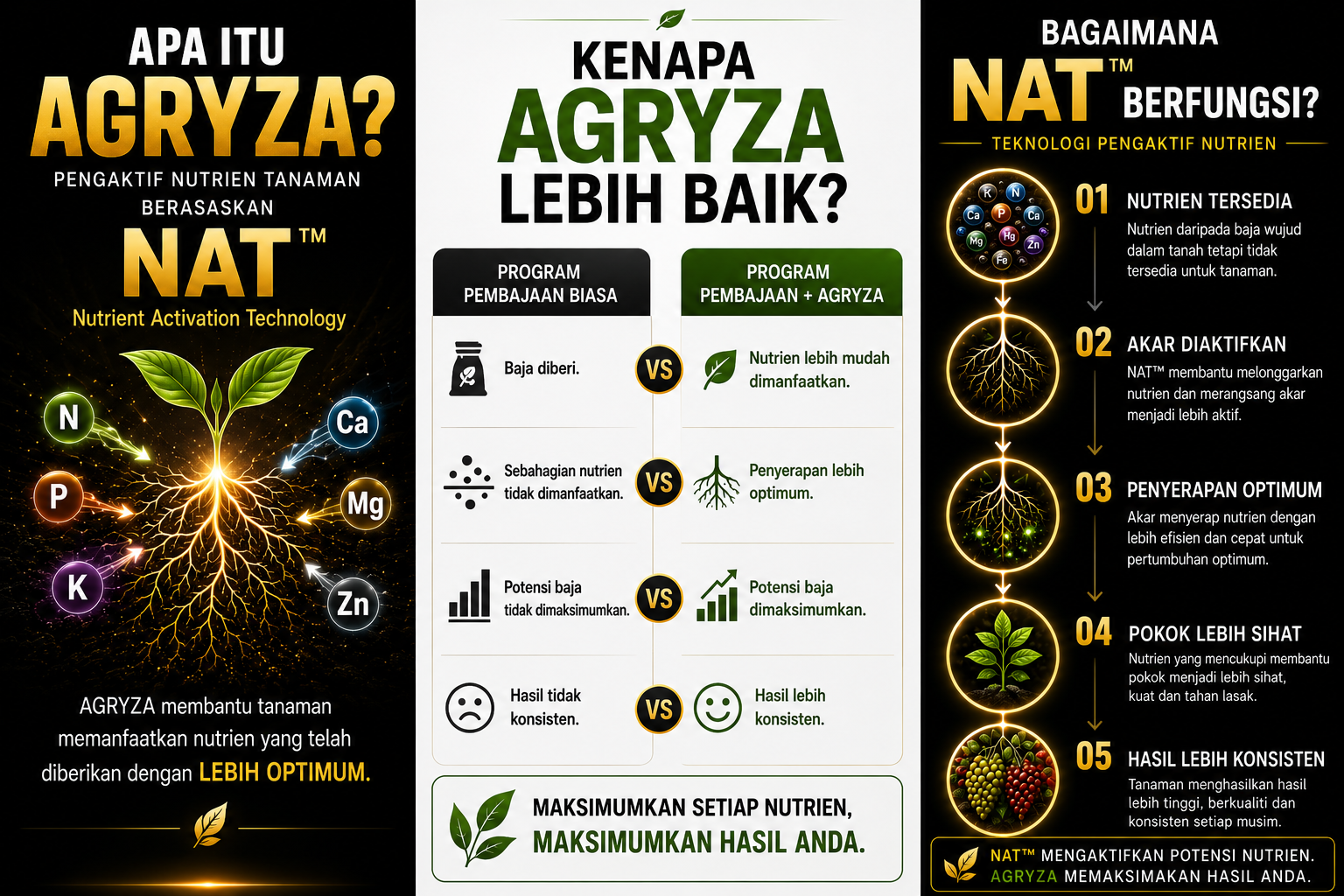 Section 08, 09 dan 10 AGRYZA, kenapa AGRYZA lebih baik dan bagaimana NAT berfungsi